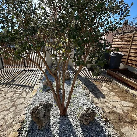 Casa Luma *